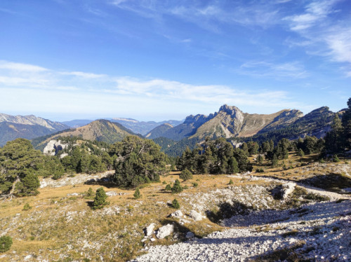 Au cœur de l'aventure: explorer les trésors cachés de la Provence