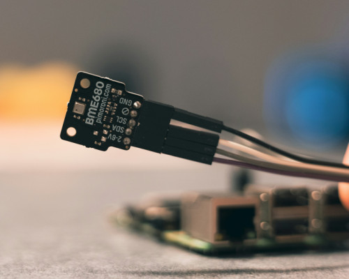 Les bienfaits du jardinage sur la santé